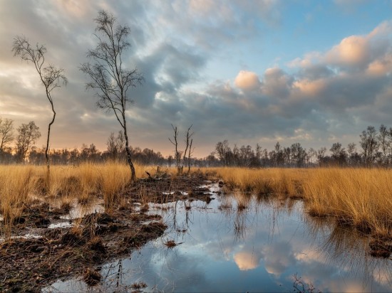 Luxe ansichtkaart De Peel