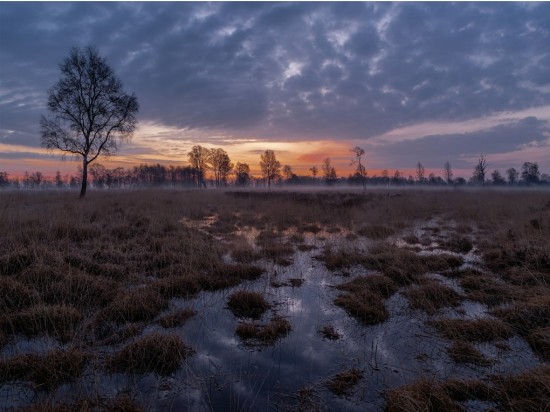 Luxe ansichtkaart De Peel