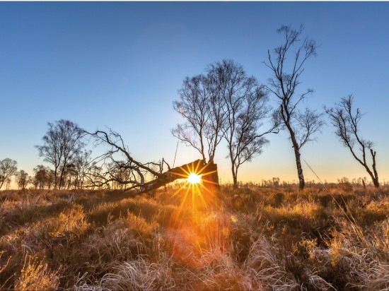 Luxe ansichtkaart De Peel