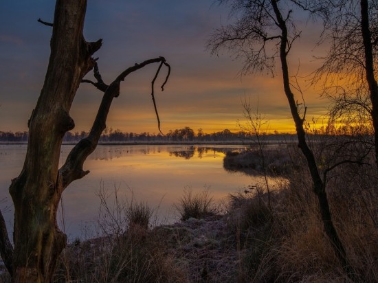 Luxe ansichtkaart De Peel