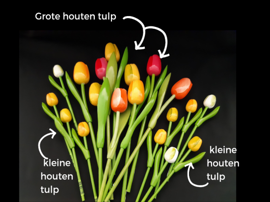 Luxe houten tulp tulpen VVV deurne