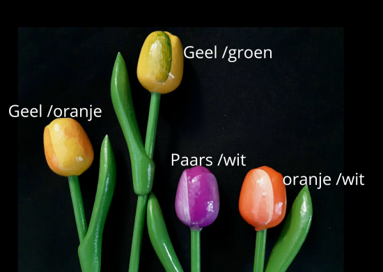 Kleurenvoorbeelden houten tulpjes