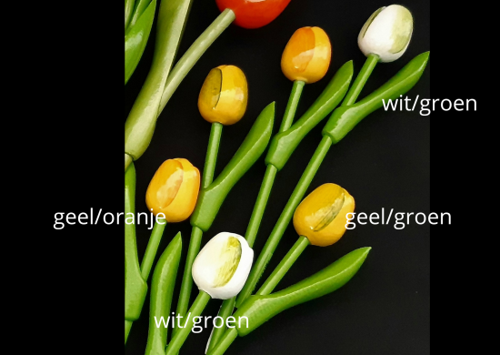kleurenvoorbeelden houten tulpjes