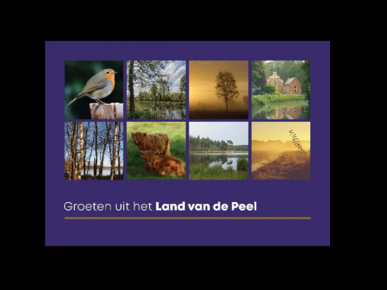 Ansicht groeten uit landvdpeel paars