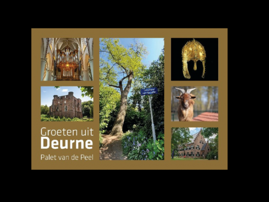 Groeten uit deurne paletvdpeel goud