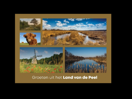 Groeten uit het landvdpeel goud