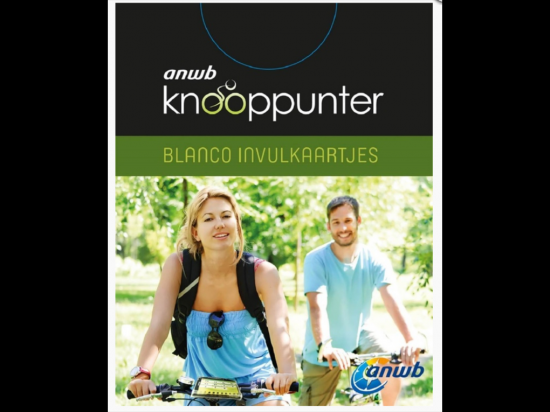 Navulset knoopunter